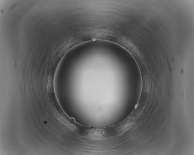 X0000086300077200703301213