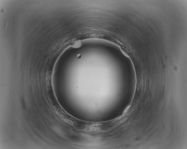 X0000086300078200703301213