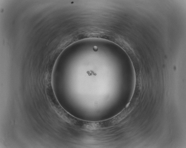 X0000086300079200703301213