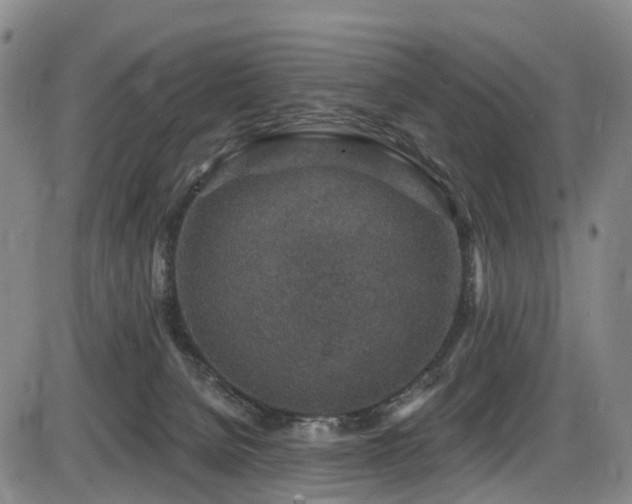 X0000086300080200703301213