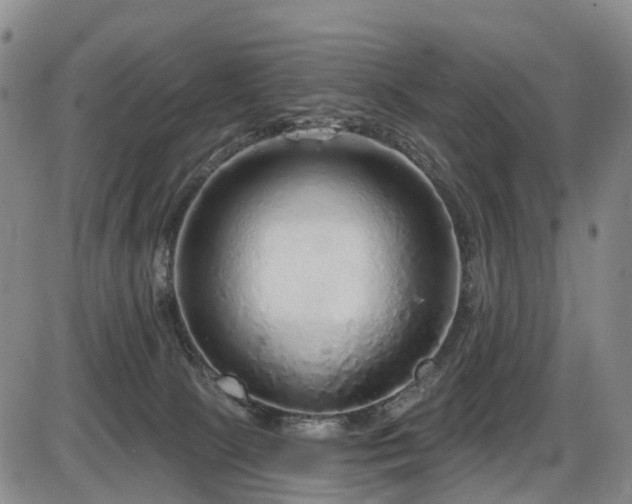 X0000086300081200703301213