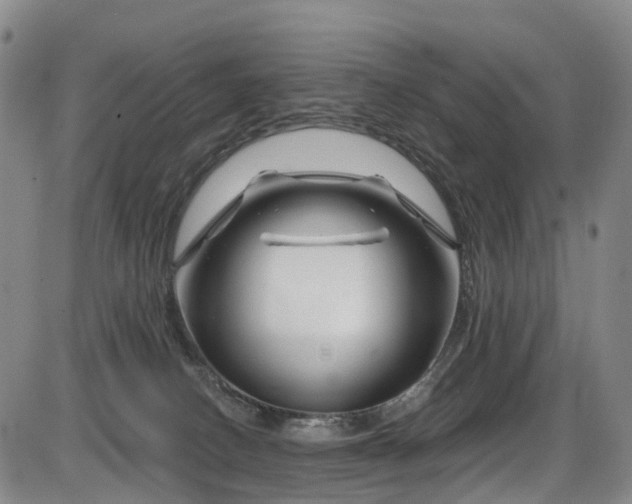 X0000086300082200703301213