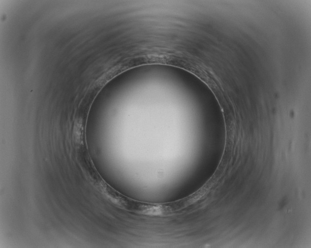 X0000086300083200703301213