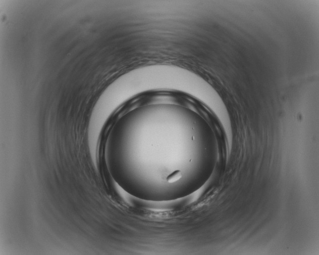 X0000086300084200703301213