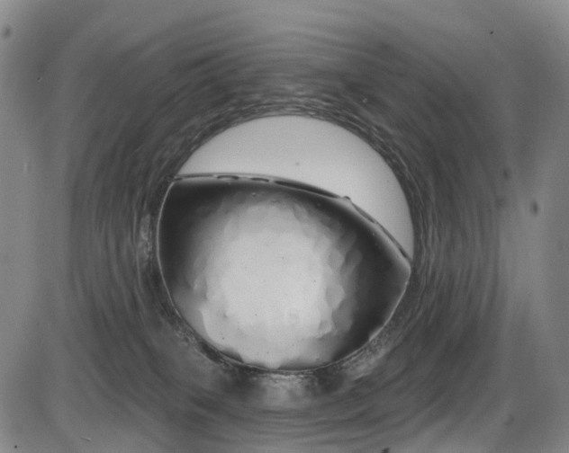 X0000086300085200703301213