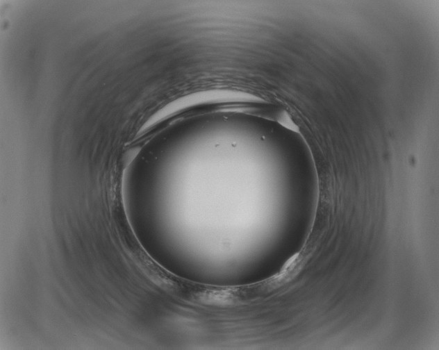 X0000086300086200703301213