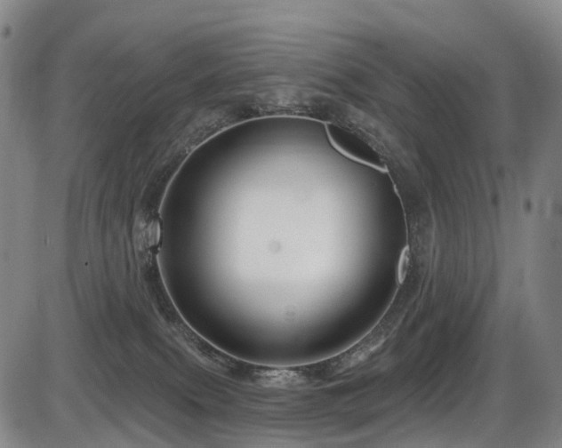 X0000086300087200703301213