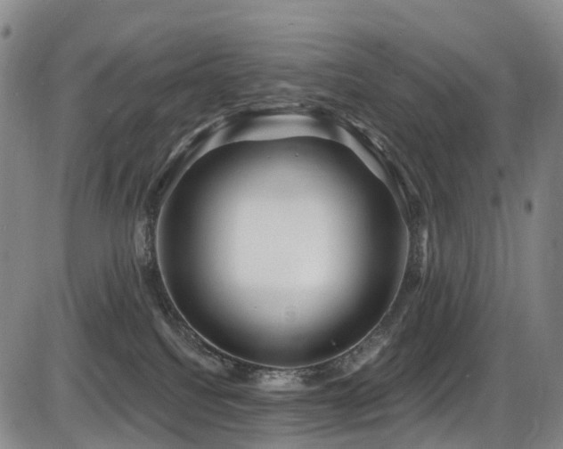 X0000086300088200703301213