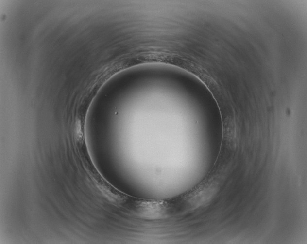 X0000086300089200703301213