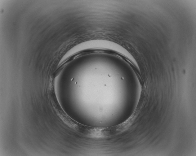 X0000086300090200703301213