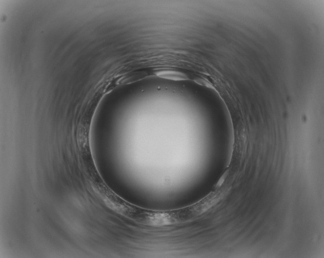 X0000086300091200703301213