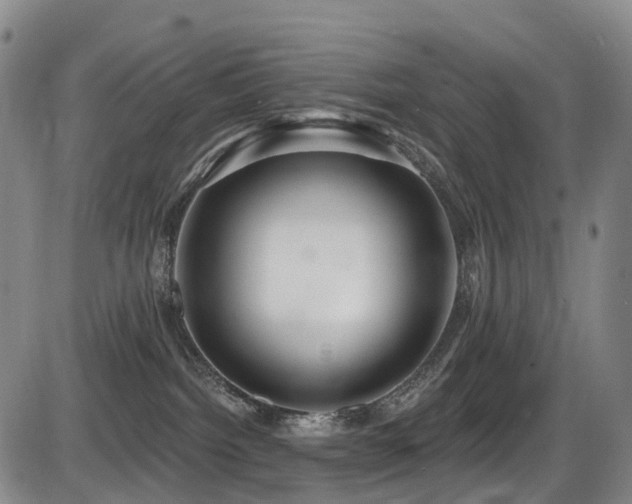 X0000086300092200703301213