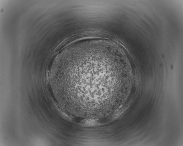 X0000086300093200703301213