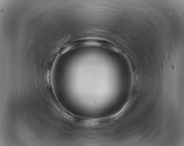 X0000086300094200703301213