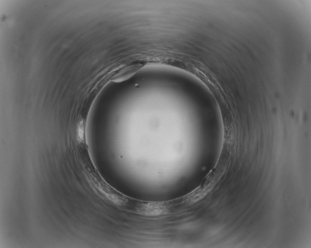 X0000086300095200703301213