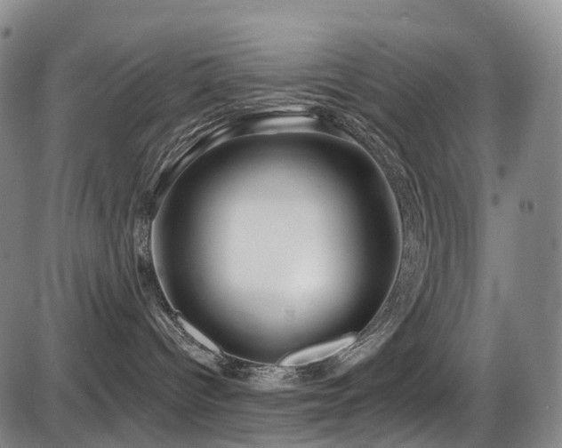 X0000086300096200703301213