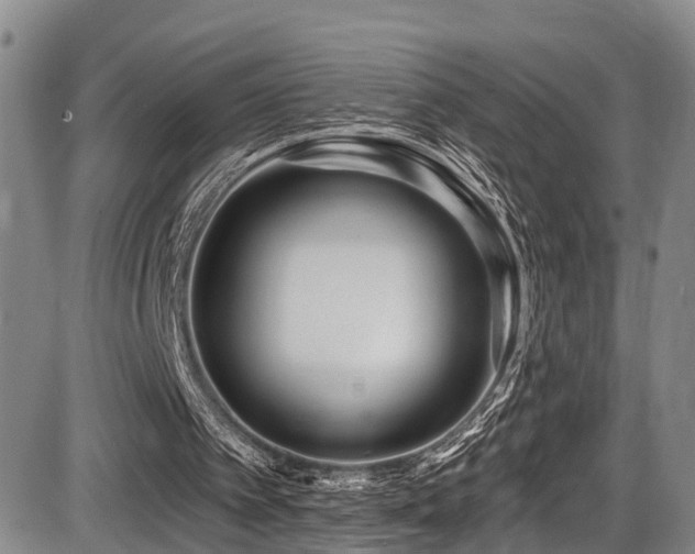 X0000086300097200703301212