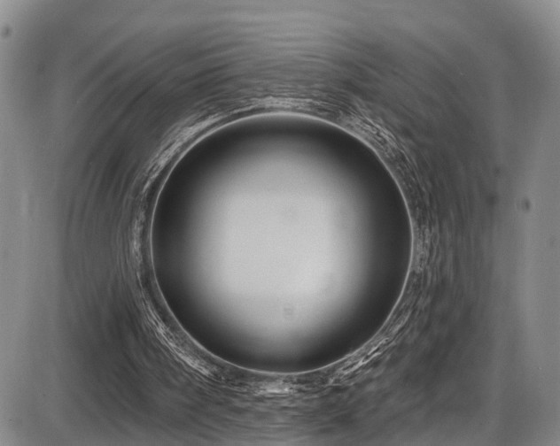 X0000086300098200703301212