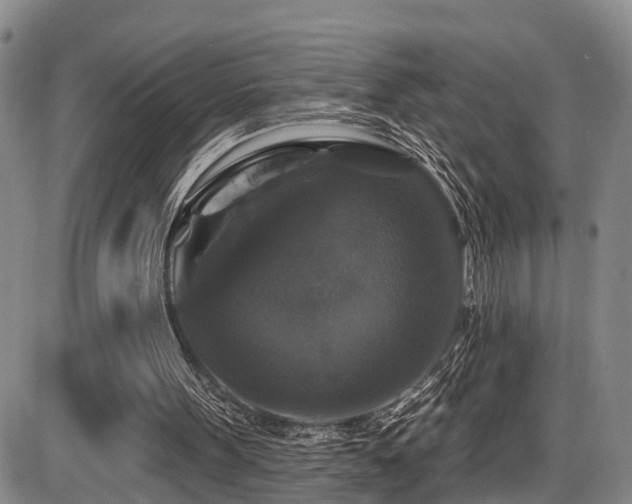 X0000086300099200703301212