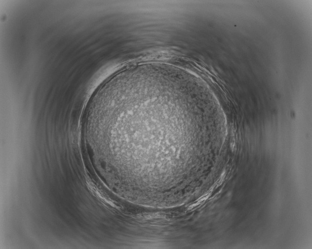 X0000086300100200703301212