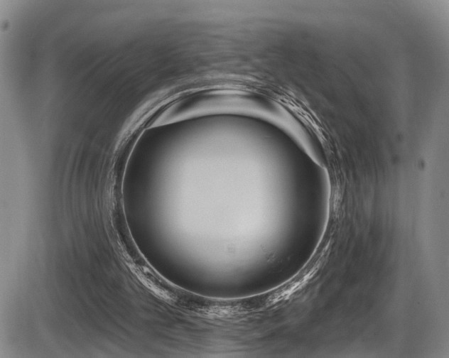 X0000086300101200703301212