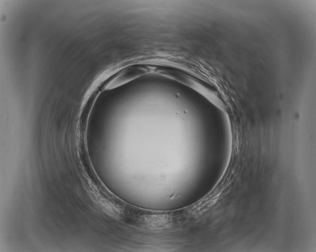 X0000086300102200703301212