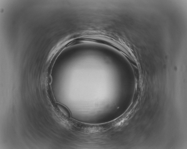 X0000086300103200703301212