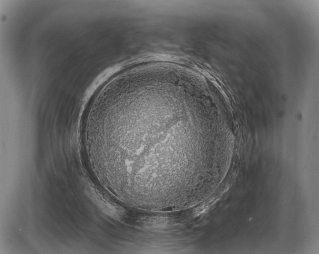 X0000086300104200703301212