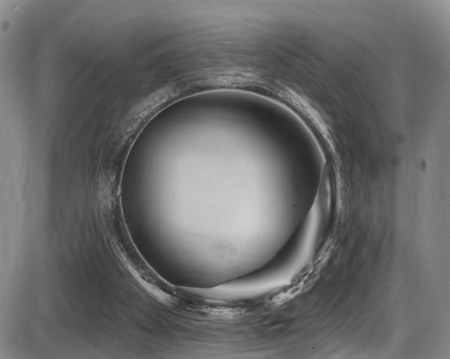 X0000086300105200703301212