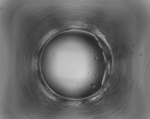 X0000086300106200703301212