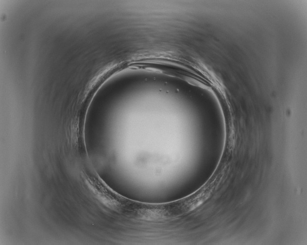 X0000086300107200703301212