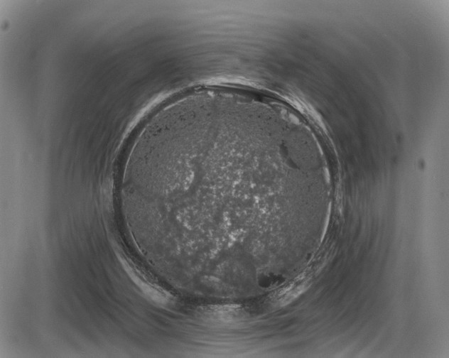 X0000086300108200703301212