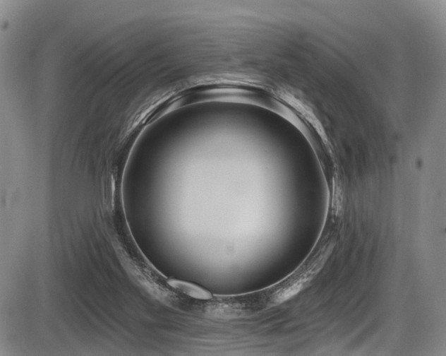 X0000086300109200703301212