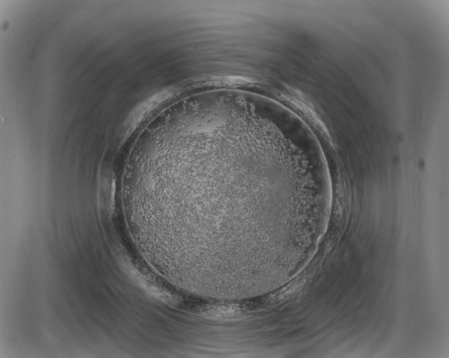 X0000086300110200703301212