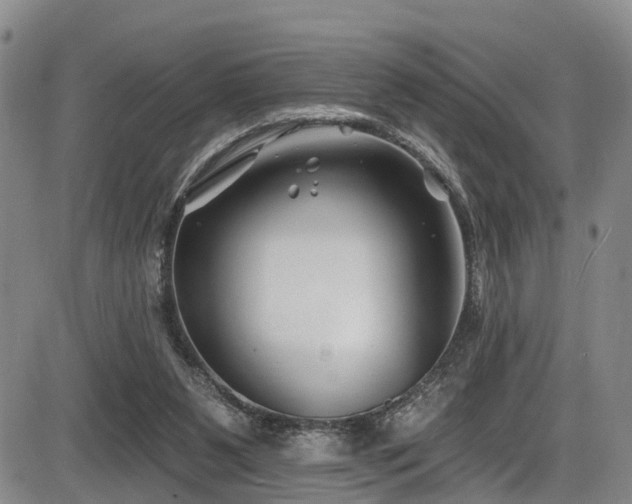 X0000086300111200703301212