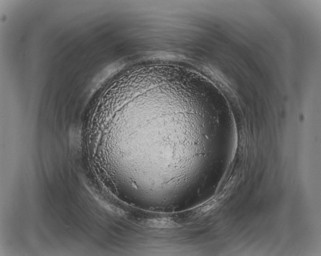 X0000086300112200703301212