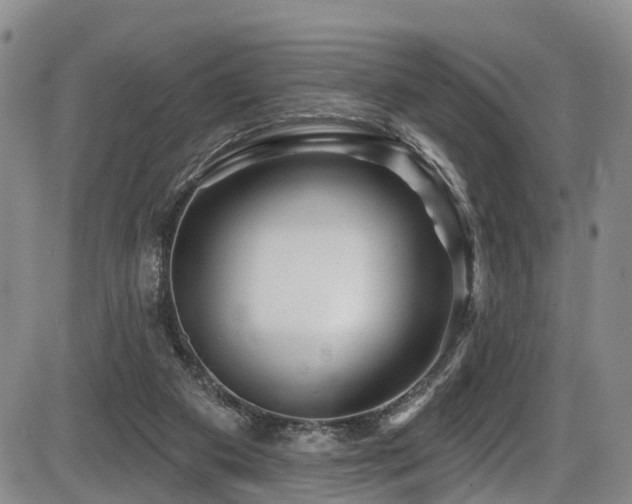 X0000086300113200703301212