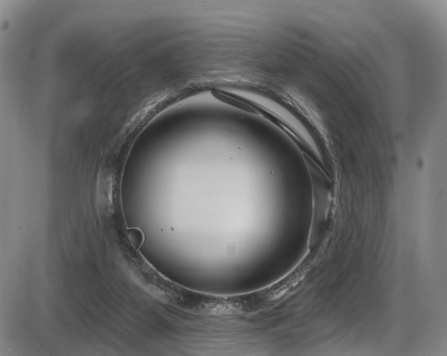 X0000086300115200703301212