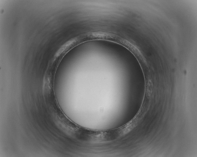 X0000086300116200703301212