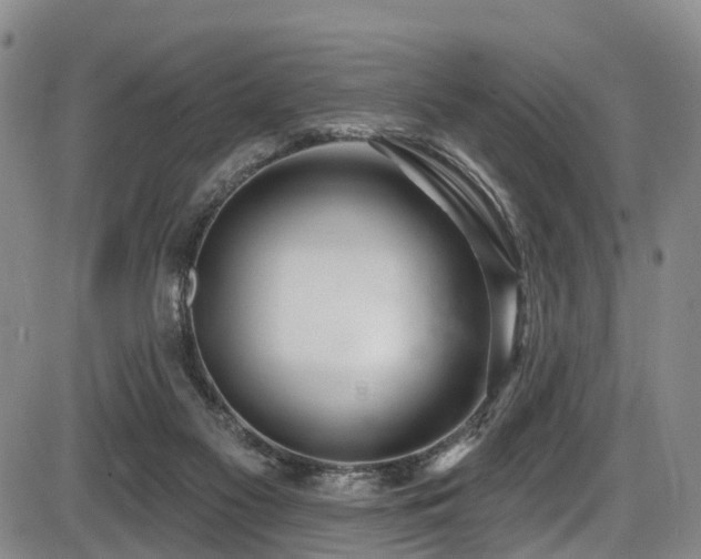 X0000086300117200703301212