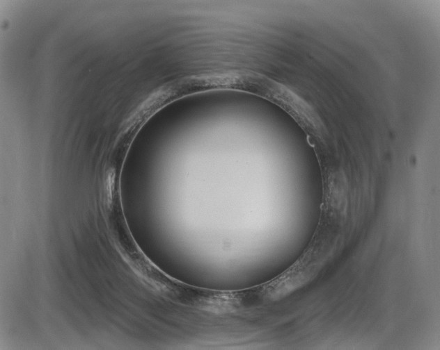 X0000086300118200703301212