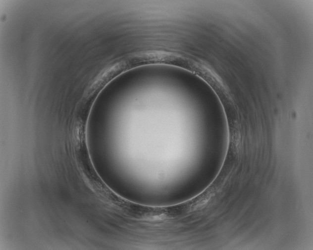 X0000086300119200703301212