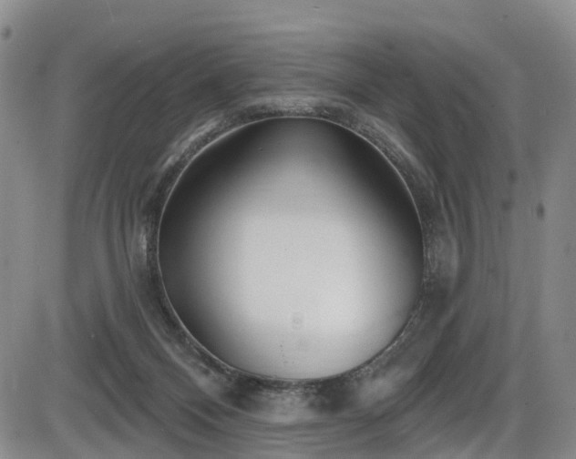 X0000086300120200703301212