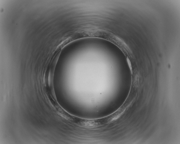 X0000086300121200703301212