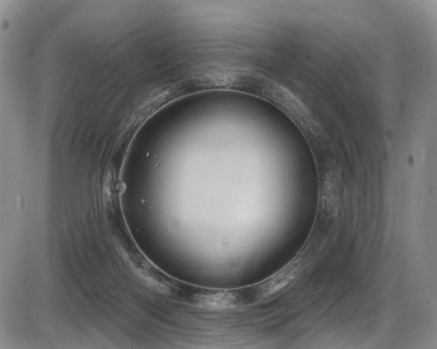 X0000086300122200703301212