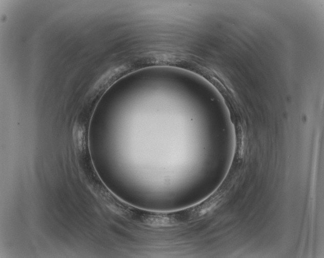 X0000086300123200703301212