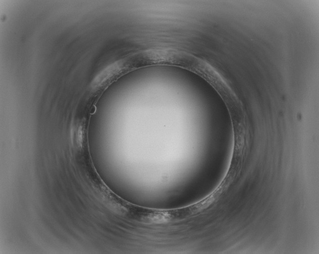 X0000086300124200703301212