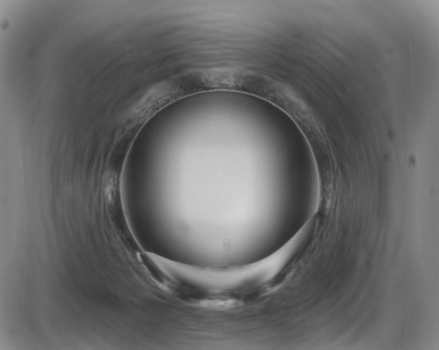 X0000086300125200703301212