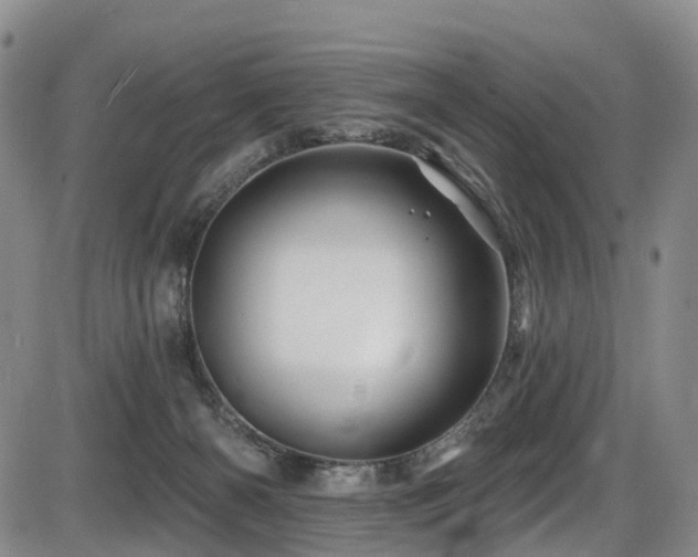 X0000086300126200703301212