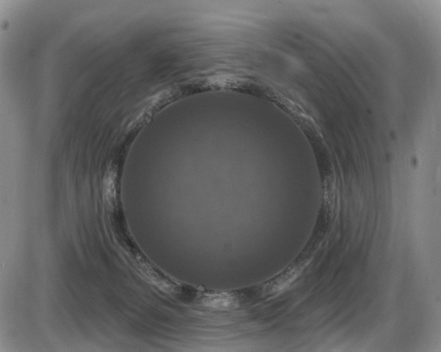 X0000086300127200703301212